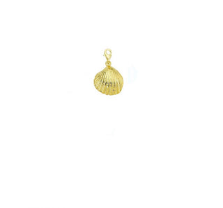 SHELL CHARM